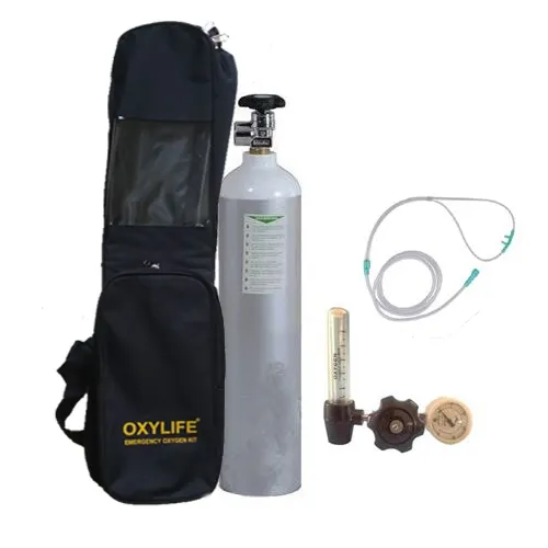 Portable Oxygen Kit - Oxylife 4.5 (675 Liters Oxygen Cylinder Kit)